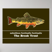 Brook Trout Fly Fishing Latijnse Name Ichthyology Poster (Voorkant)