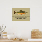 Brook Trout Fly Fishing Latijnse Name Ichthyology Poster (Keuken)