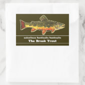 Brook Trout Fly Fishing Latijnse Name Ichthyology Rechthoekige Sticker (Tas)