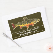 Brook Trout Fly Fishing Latijnse Name Ichthyology Rechthoekige Sticker (Envelop)