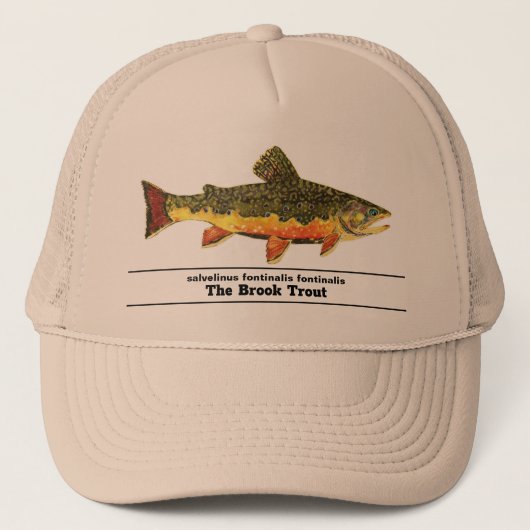 Brook Trout Fly Fishing Latijnse Name Ichthyology Trucker Pet (Voorkant)