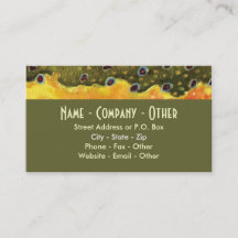 Brook Trout Fly Fishing