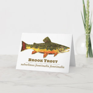 Brook Trout, Latijn Feestdagen Kaart