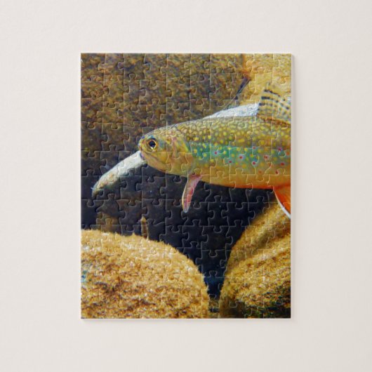 Brook Trout Legpuzzel (Verticaal)