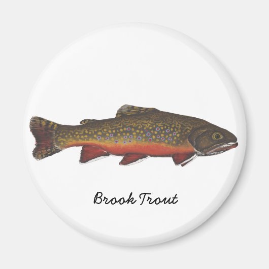 Brook Trout Magneet (Voorkant)