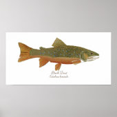 Brook Trout Poster (Voorkant)