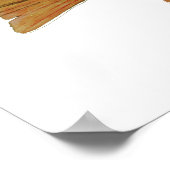 Brook Trout Poster (Hoek)