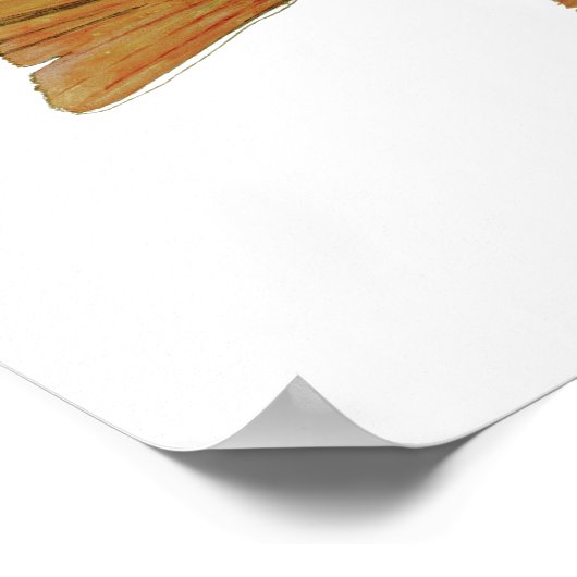 Brook Trout Poster (Hoek)