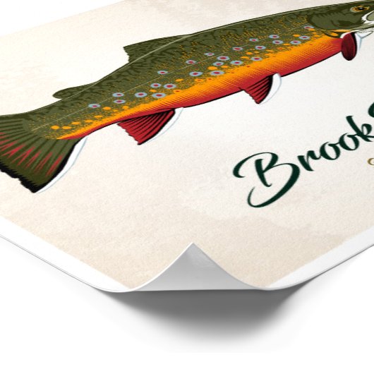 Brook Trout Poster (Hoek)
