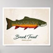 Brook Trout Poster (Voorkant)