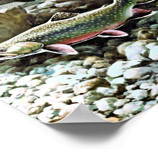 Brook Trout Poster (Hoek)