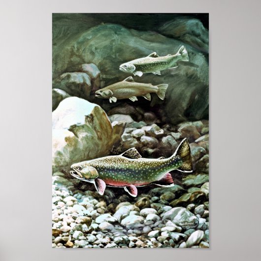 Brook Trout Poster (Voorkant)
