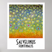 Brook Trout Poster (Voorkant)