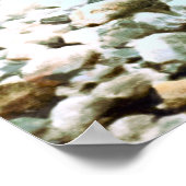 Brook Trout Poster (Hoek)