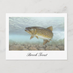 Brook Trout schilderij Briefkaart