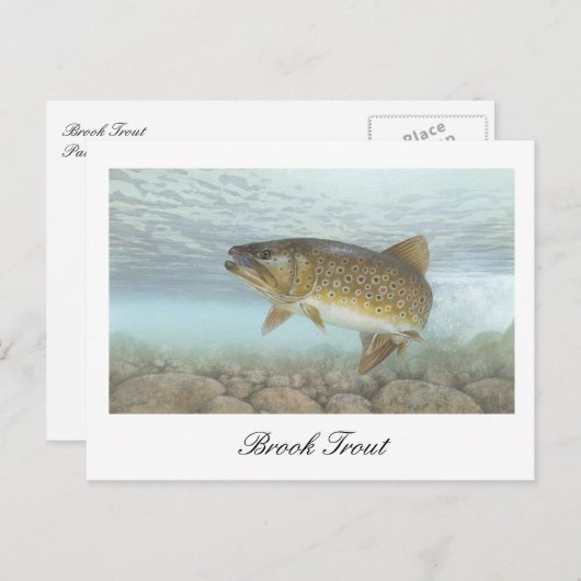 Brook Trout schilderij Briefkaart (Voorkant / Achterkant)