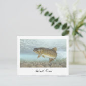 Brook Trout schilderij Briefkaart (Staand voorkant)