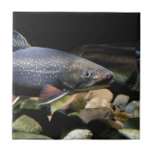 Brook Trout Tegeltje (Voorkant)