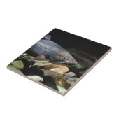 Brook Trout Tegeltje (Zijkant)