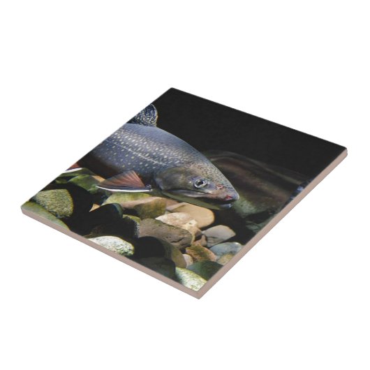 Brook Trout Tegeltje (Zijkant)