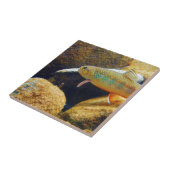 Brook Trout Tegeltje (Zijkant)