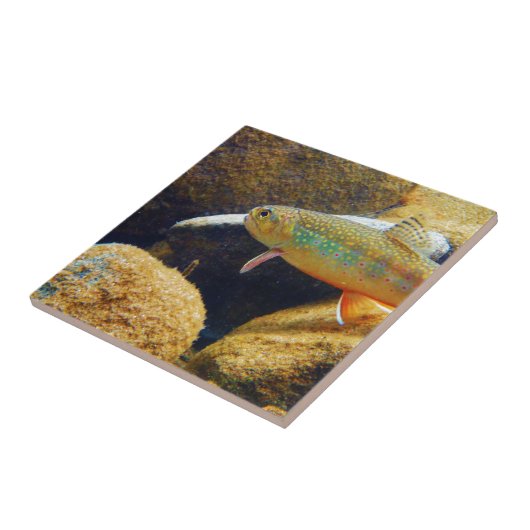 Brook Trout Tegeltje (Zijkant)