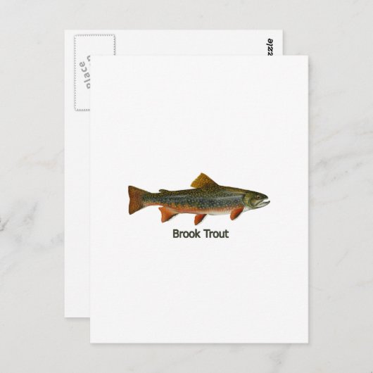 Brook Trout (titel) Briefkaart (Voorkant / Achterkant)