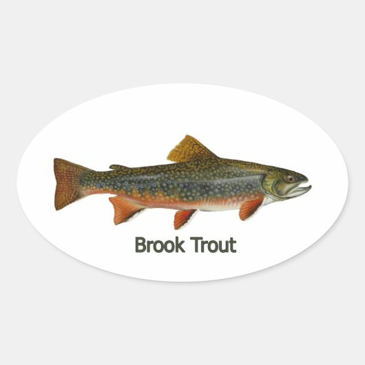 Brook Trout (titel) Ovale Sticker (Voorkant)