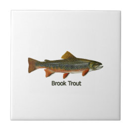 Brook Trout (titel) Tegeltje