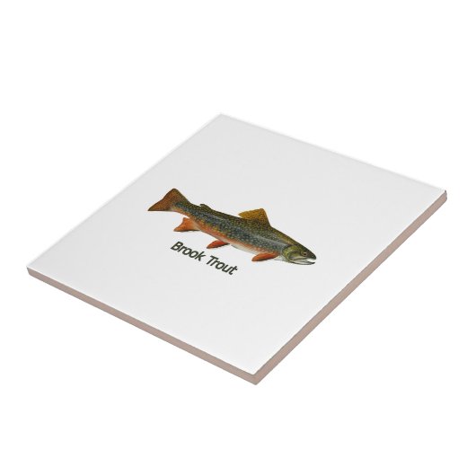 Brook Trout (titel) Tegeltje (Zijkant)