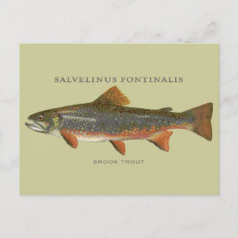 Brook Trout Vist Briefkaart