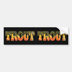 Brook Trout Vist Bumpersticker