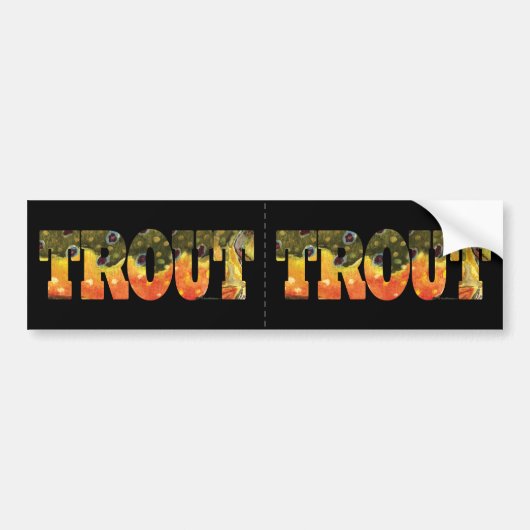 Brook Trout Vist Bumpersticker (Voorkant)