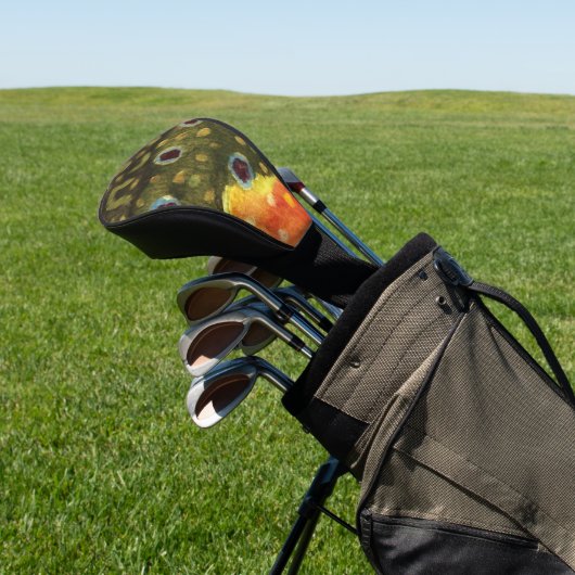 Brook Trout Vist, Ichthyology Golfheadcover (Insitu)