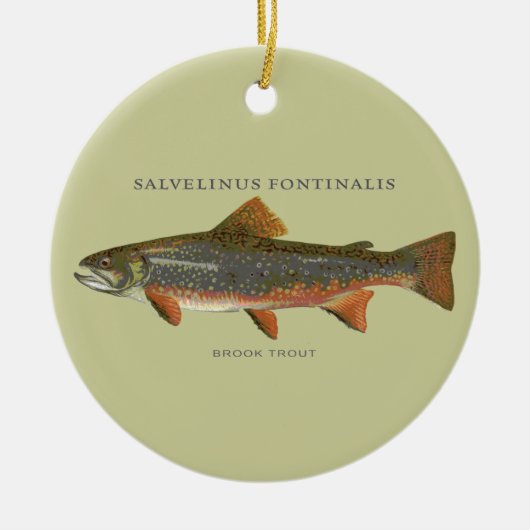 Brook Trout Vist Keramisch Ornament (Voorkant)