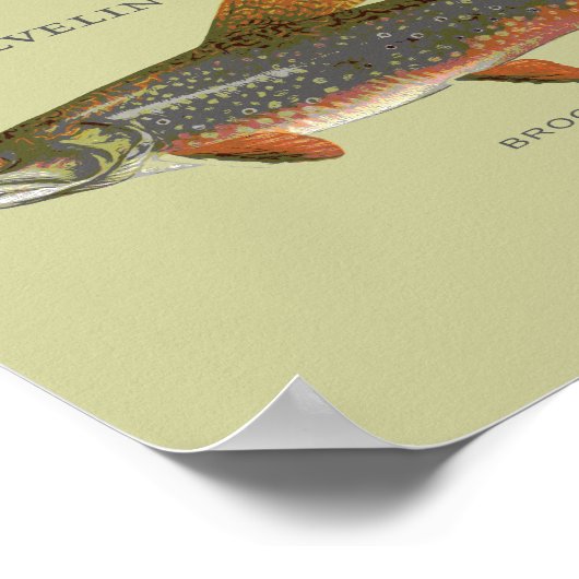Brook Trout Vist Poster (Hoek)