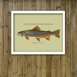 Brook Trout Vist Poster