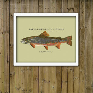 Brook Trout Vist Poster