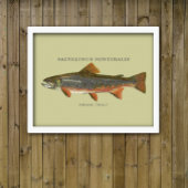 Brook Trout Vist Poster