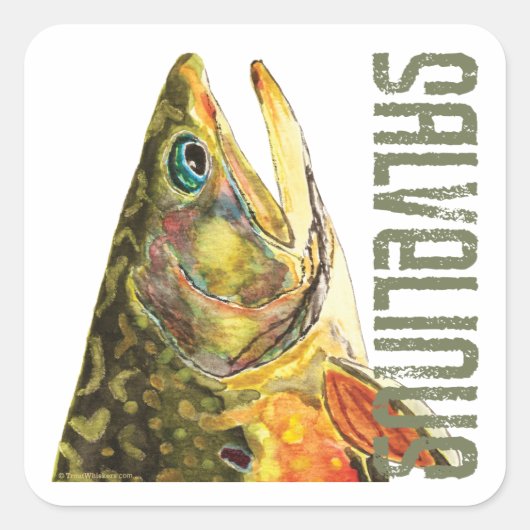 Brook Trout Vist Vierkante Sticker (Voorkant)