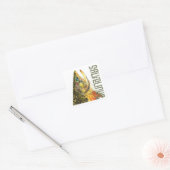 Brook Trout Vist Vierkante Sticker (Envelop)