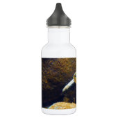 Brook Trout Waterfles (Links)