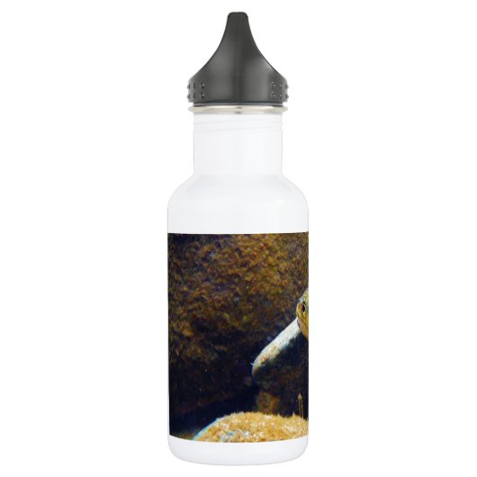 Brook Trout Waterfles (Links)