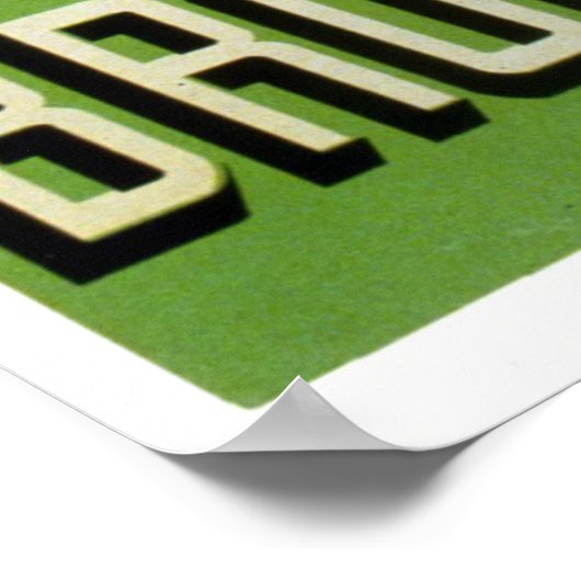 Brookfield Zoo Hippopotamus Vintage Poster (Hoek)