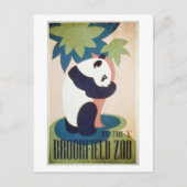 Brookfield Zoo-Panda Briefkaart (Voorkant)