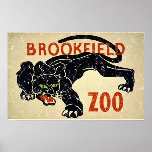 Brookfield Zoo-Panther-noodsituatie Poster (Voorkant)