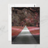 Brookgreen Gardens Briefkaart (Voorkant / Achterkant)