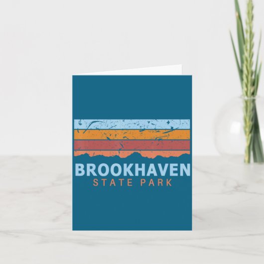 Brookhaven State Park New York Retro Cool _1  Kaart (Voorkant)