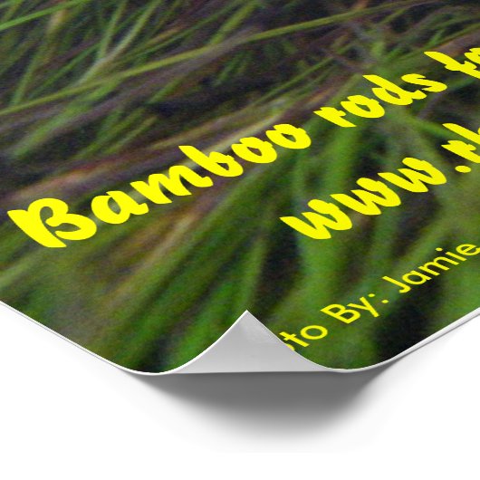 Brookie Poster (Hoek)