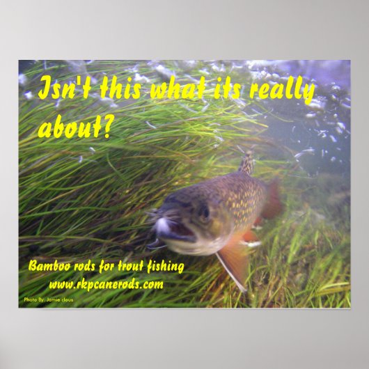 Brookie Poster (Voorkant)